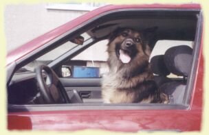 Dnes řídím já :-)